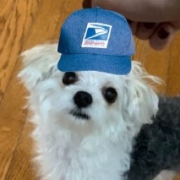 Anonymous's profile picture