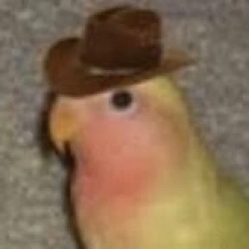 IAmElbows's profile picture