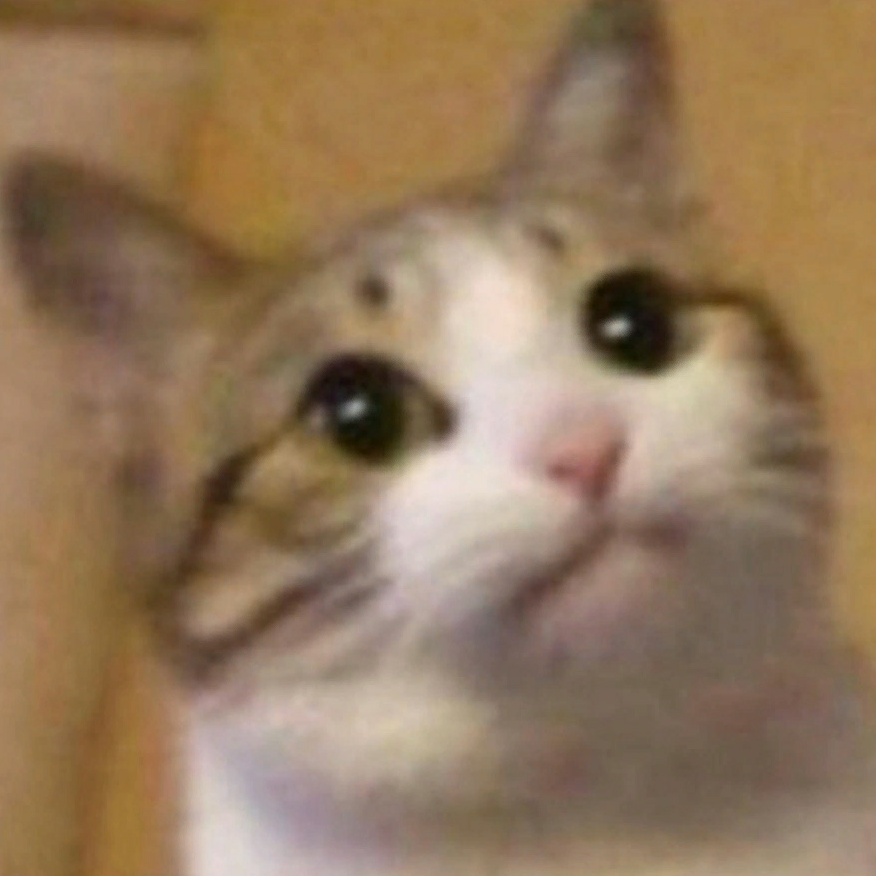 LeoTheWeirdWiseCatto's profile picture