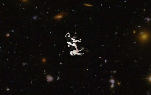 Trekkie_Cow124's profile picture