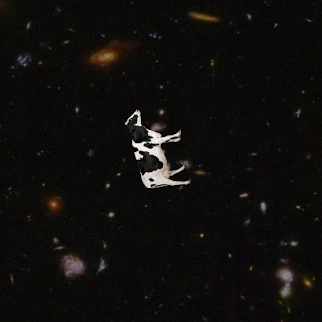 Trekkie_Cow124's profile picture