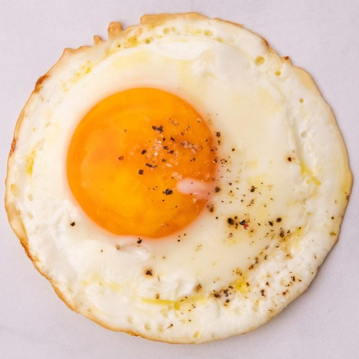 Falconlim's profile picture