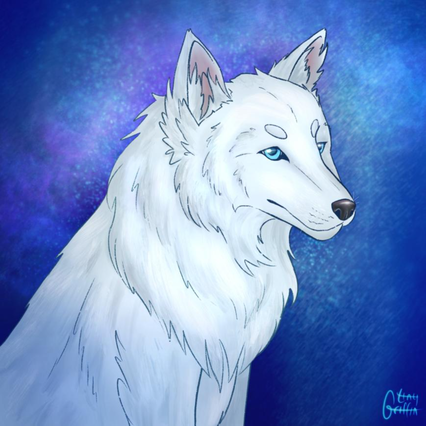 •WhiteWolf•'s profile picture