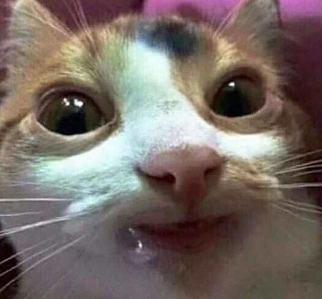 DuckHat's profile picture