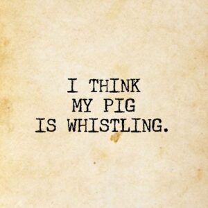 Karolina's profile picture