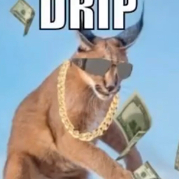 Hazardub's profile picture