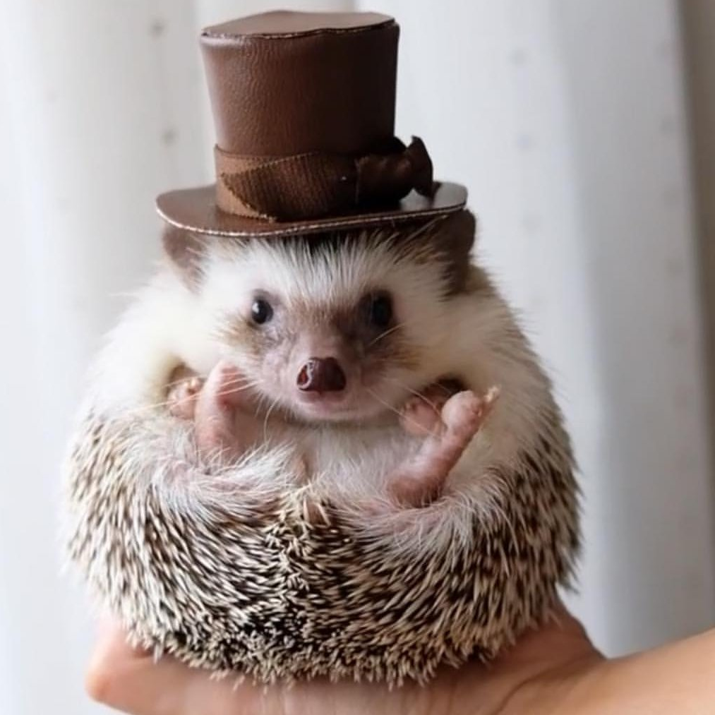 Reeking's profile picture