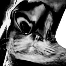 HUEHUEHUE's profile picture