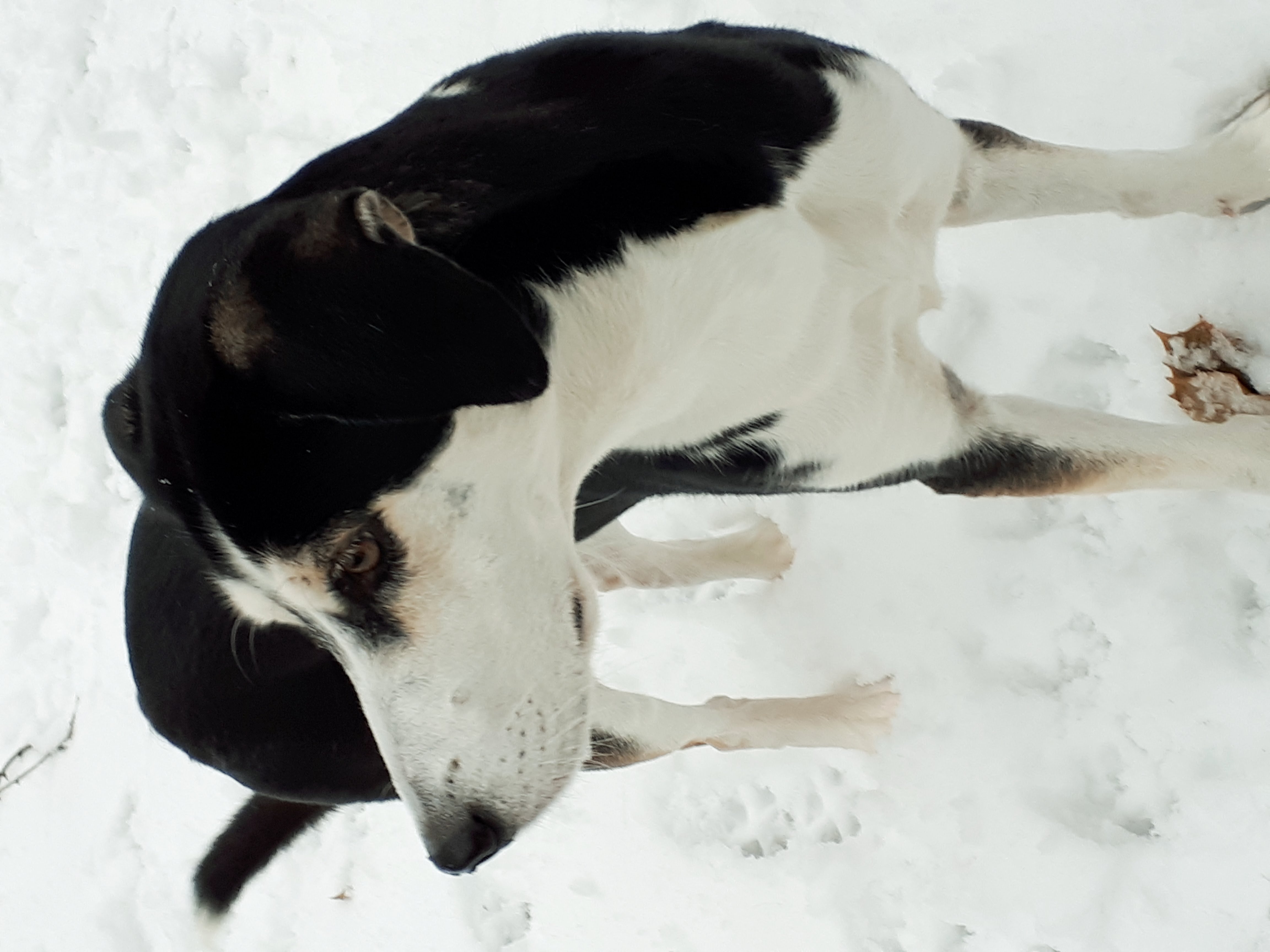 yugo358's profile picture