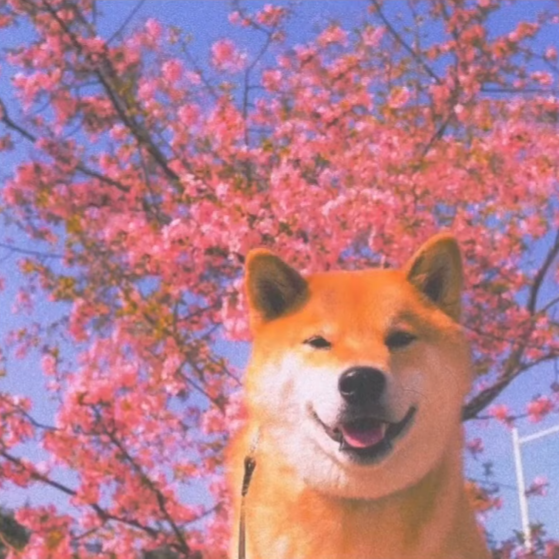 lanta's profile picture