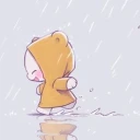 sollymcwolly's profile picture