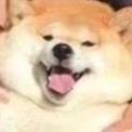 PSee's profile picture