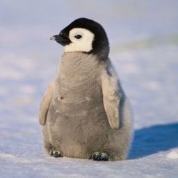 drepy's profile picture