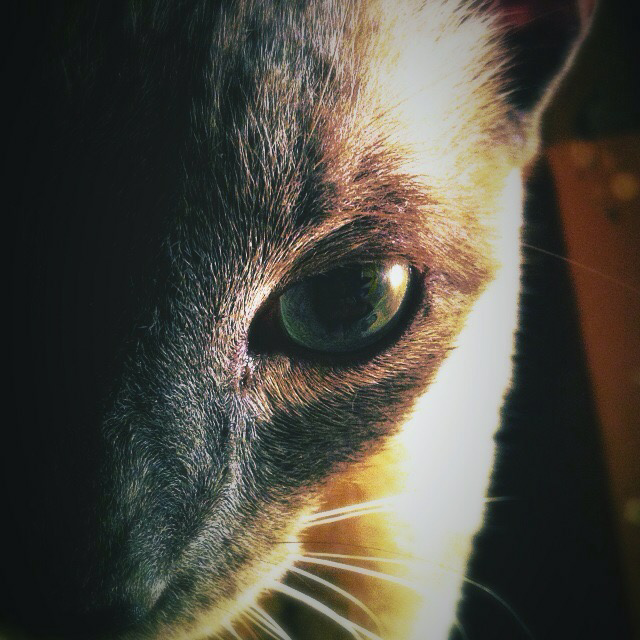 Crouton_18's profile picture