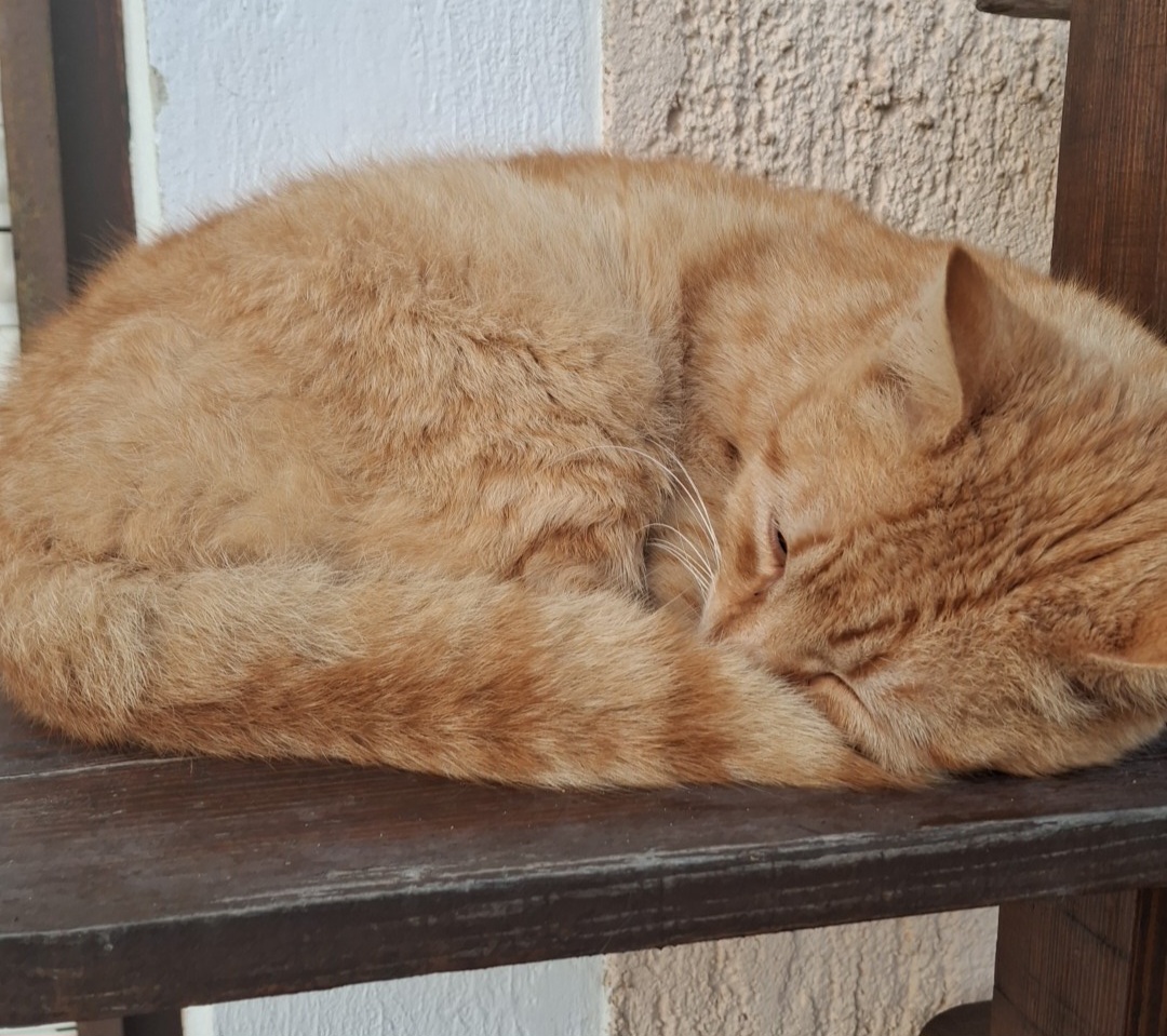 Kraxli's profile picture