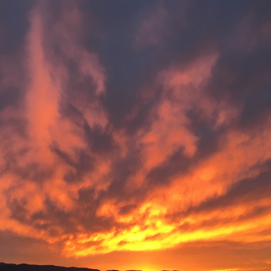 Sunshine's profile picture