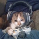 T8#'s profile picture