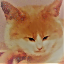 gh117's profile picture