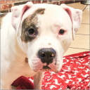 debug9999's profile picture