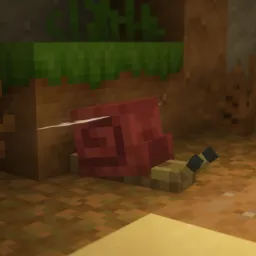 Snail race supervisor